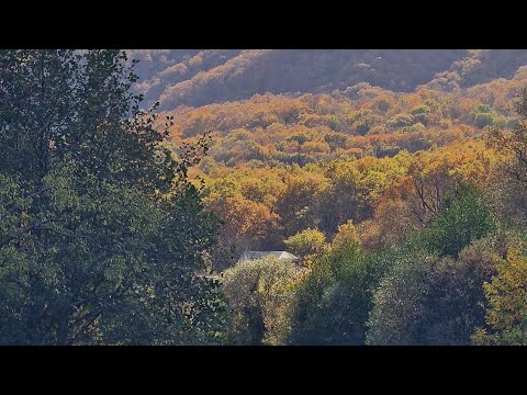 Видео: Адербиевка//Геленджик. Поход выходного дня🍁🍂Октябрь, 