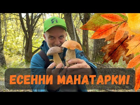 Видео: #Златна #есен с #манатарки 