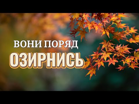 Видео: ТОП 10 дерев, які восени виглядають НЕРЕАЛЬНО🍂