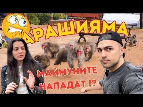 Видео: 🇯🇵🎋🐒Обиколихме БАМБУКОВАТА ГОРА и НАХРАНИХМЕ МАЙМУНИТЕ в Арашияма + /най-якото квартално КАФЕНЕ☕️/