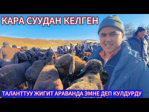 Видео: КАРА СУУЛУКТАР БААРЫ АРАВАН МАЛ БАЗАРДА КОЙ АРАЛАП ЖУРОТ БААЛАР КАНДАЙ 06.11.25ж