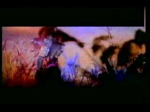 Видео: Надежда Чепрага - Три линии