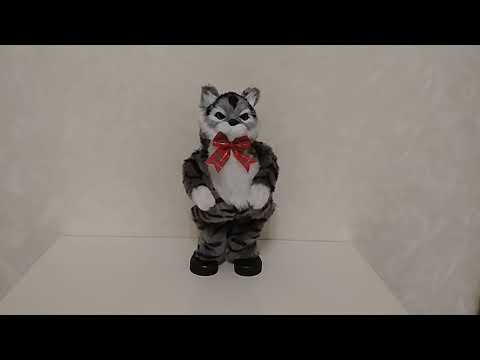 Видео: Танцующий кот Ловелас