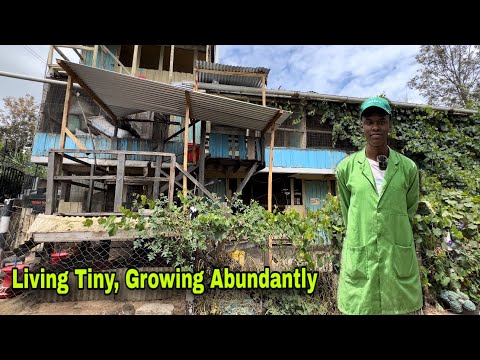 Видео: Гениальная идея 22-летнего студента-строителя по специальности «Птицеводство» — идеально для жизн...