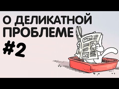 Видео: Кот мочится вам НА КРОВАТЬ. [2/2] Поговорим вновь о деликатной проблеме.