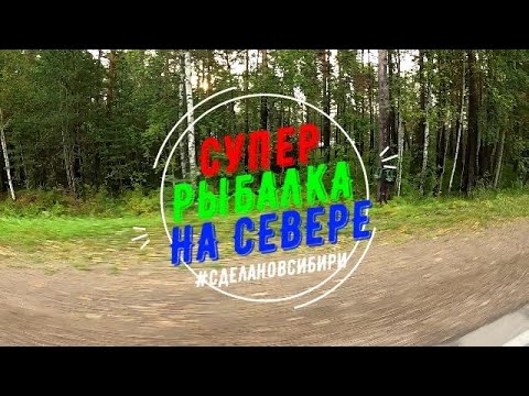 Видео: Часть 3! Опасная ночевка...Природа...Рыбалка...