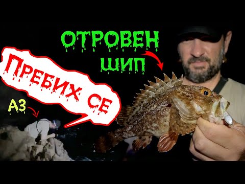 Видео: ЯДЕМ ОТРОВНИ РИБИ! Catch&Cook на СКОРПИДИ и ВРАНИ! Риболов на Черно море.