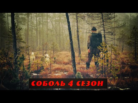 Видео: Соболь 4 сезон, 6 серия, Как соболь превратился в белку, Над нами смеется сам дух тайги!