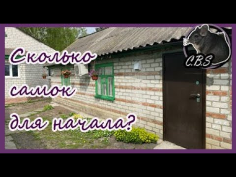 Видео: ТОП ВОПРОС ОТ НАЧИНАЮЩИХ ШИНШИЛЛОВОДОВ || Шиншилловодство || Шиншилловые фермы