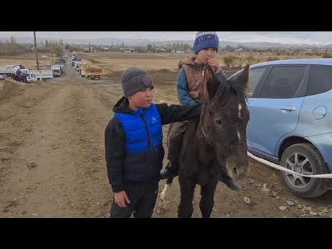 Видео: Ниязовдор уулдары менен...