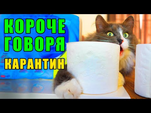 Видео: КОРОЧЕ ГОВОРЯ, КАРАНТИН! ГЛАЗАМИ КОШКИ