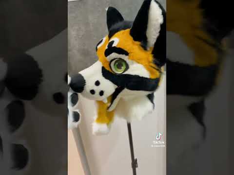 Видео: Фурри из тт 6 часть