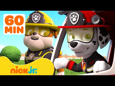 Видео: PAW Patrol НОВЫЕ ЭПИЗОДЫ Сборник! | 1 Час | Nick Jr.