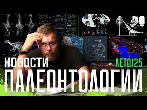 Видео: Сосуды тираннозавра | Бесшумный ихтиозавр | И еще 21 палеонтологическая публикация лета!
