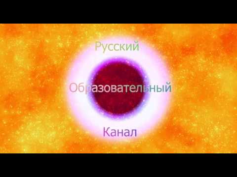 Видео: Тульская охота Евгения Скоркина. Часть вторая.