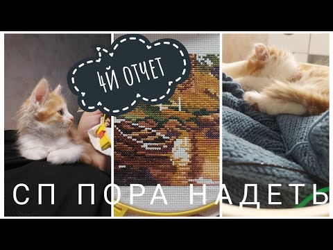 Видео: СП ПОРА НАДЕТЬ *9//4 #поранадеть9_отчет4