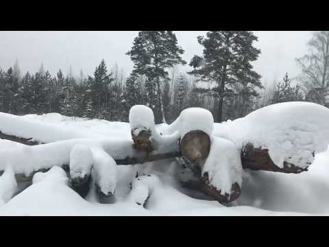 Видео: Заброшенная деревня Новые Трёки - разведка маршрута