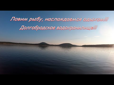 Видео: Ловим рыбу, наслаждаемся отдыхом!!! Долгобродское водохранилище!!!