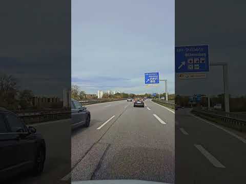 Видео: 8 ноября 2025 г.