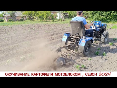 Видео: ТРИ ОГОРОДА ПОДРЯД , ОКУЧИВАНИЕ КАРТОФЕЛЯ МОТОБЛОКОМ, СЕЗОН 2024 / HILLING PATATOES, SEASON 2024