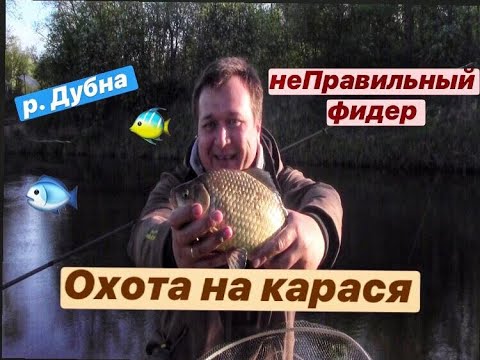 Видео: неПравильный фидер.  Рыбалка на карася! Река Дубна!!! Видеоотчёт №3