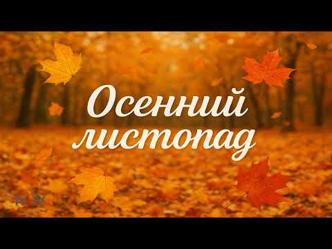 Видео: Осенний листопад