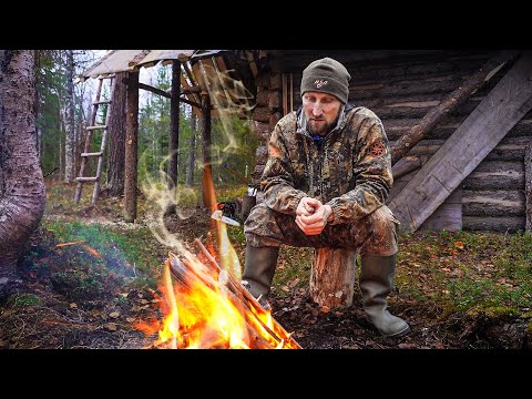 Видео: ОХОТА НА МЕДВЕДЯ НЕВОЗМОЖНА У ИЗБЫ "ПРОХОДНОЙ" КРУГОМ ЛОСИ. ЖИВУ В ИЗБЕ.