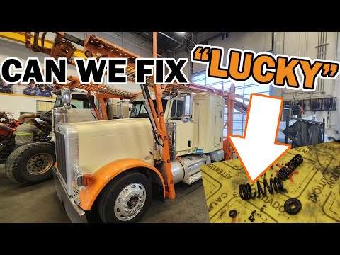 Видео: Можно ли починить «LUCKY» без капитального ремонта двигателя? Ремонт двигателя Cat C15.