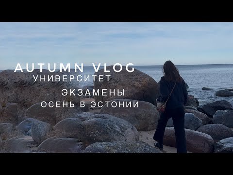 Видео: Student diary: университет и экзамены *осень в Эстонии*