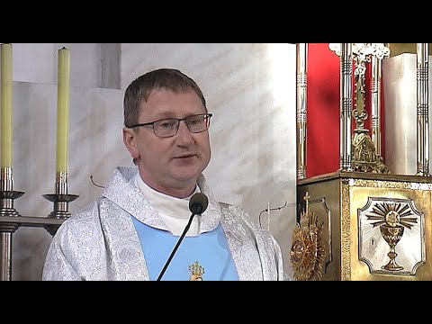 Видео: Святы Ружанец. Адкуль ён? (частка першая)