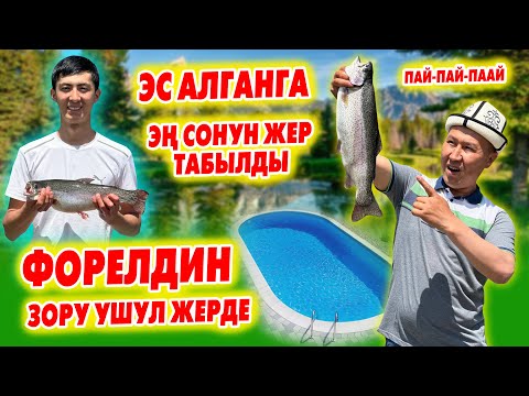 Видео: Эң ширин ФОРЕЛЬ мына ушул жерде го ~ Булак суусунда багылган БАЛЫКТАРДЫ жегиле ~ Азыр КЕЛГИЛЕ
