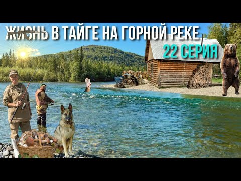 Видео: Жизнь в тайге без прикрас | Закрываем крышу избы | Заготовка дров и рыбы | Банный день | Bushcraft