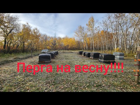 Видео: Мед і перга для весняної підгодівлі. Боротьба з шкідниками на пасіці.