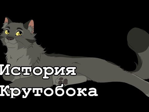 Видео: История Крутобока(по просьбе подписчика)/Коты-воители