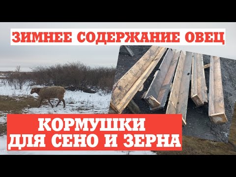 Видео: Кормушки для овец. ЗИМНЕЕ СОДЕРЖАНИЕ ОВЕЦ. СТОЙЛОВОЕ СОДЕРЖАНИЕ.