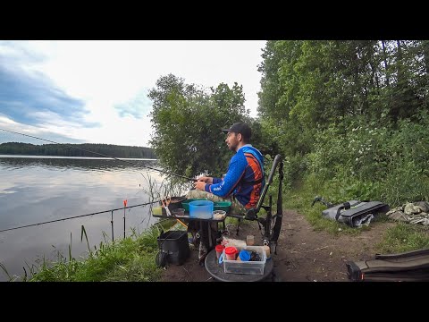 Видео: С ФИДЕРОМ на ТЕТЕРИНО ловить ПОДЛЕЩА! Красивое и безлюдное место в лесу.