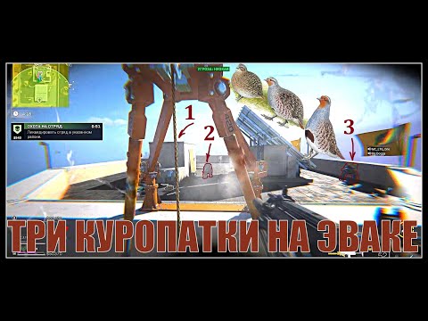 Видео: ТРИ КУРОПАТКИ НА ЭВАКЕ #dmz
