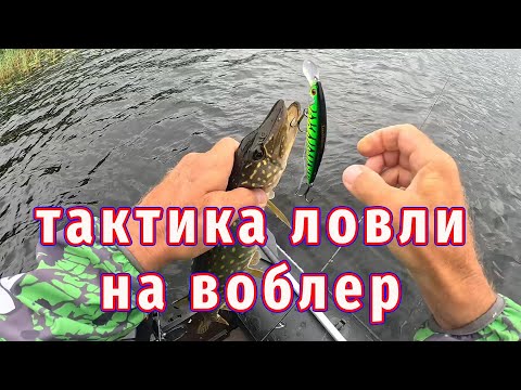 Видео: Тактика ловли на воблер в траве! Как поймать на воблер на любом водоеме!
