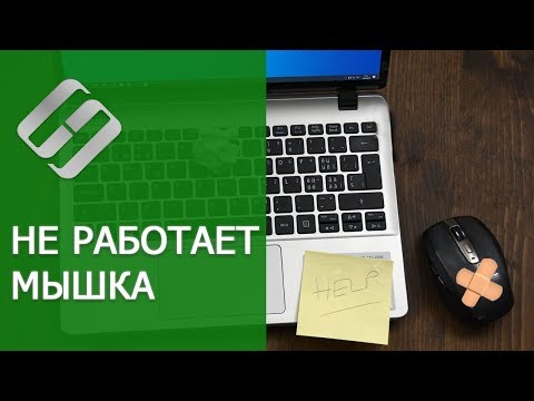 Видео: Не работает 🖱️ мышка на компьютере или 💻 ноутбуке  с Windows 10, 8 и 7