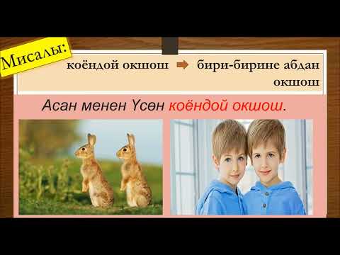 Видео: Грамматика / Фразеологизмдер