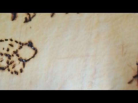 Видео: выжигаю на доске ники подписчиков!