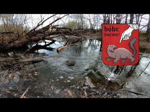 Видео: Очистка водопропускной трубы после половодья