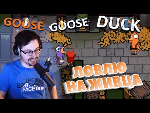 Видео: ПОДСАДНАЯ УТКА ► GOOSE GOOSE DUCK