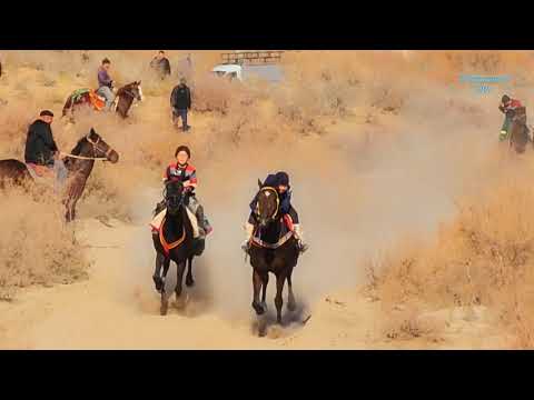 Видео: 30 октября 2025 г.Караозек. 40жылдык.