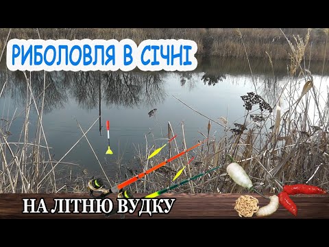 Видео: Рыбалка на летний поплавок в январе.На Донат 5169 3600 1080 3819