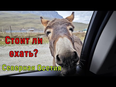 Видео: В Северную Осетию на машине. Стоит ли ехать? Термальное озеро Тамбукан.