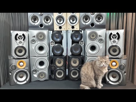 Видео: Микросистема MAYHEM - взорвало 9 пар динамиков!