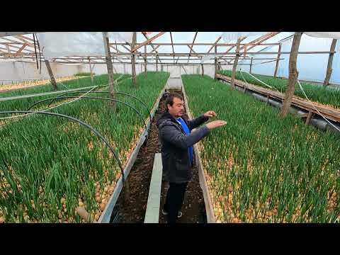 Видео: Достаточно ли Вы знаете о стеллажах? Ширина, высота, глубина. Видео курс для начинающих Луководов.