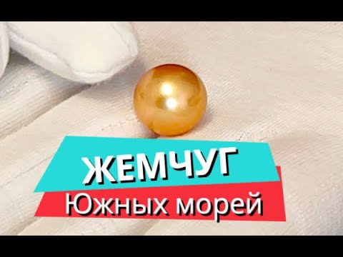 Видео: Как выращивают самый дорогой жемчуг в мире? Секреты южных морей!