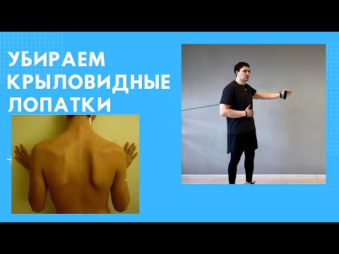 Видео: Крыловидные лопатки. Тренируем ромбовидную и переднюю зубчатую мышцы.